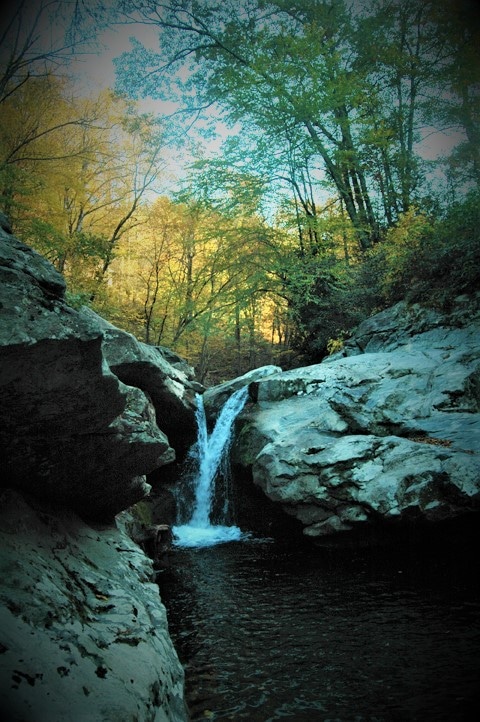Trash Can Falls, aka Laurel Creek Falls